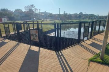 Foto - Parque dos Lagos
